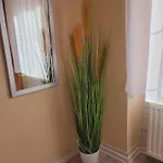 Apartmany Brno *