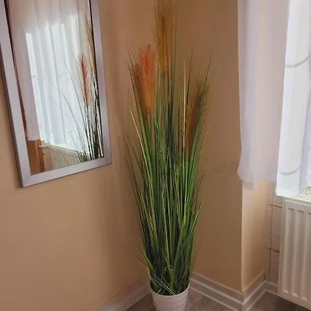 Apartmány Brno *