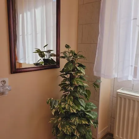Апартаменты Apartmany Brno *